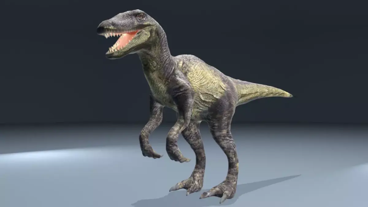 This dinosaur model  Raptor Low-poly 3D model