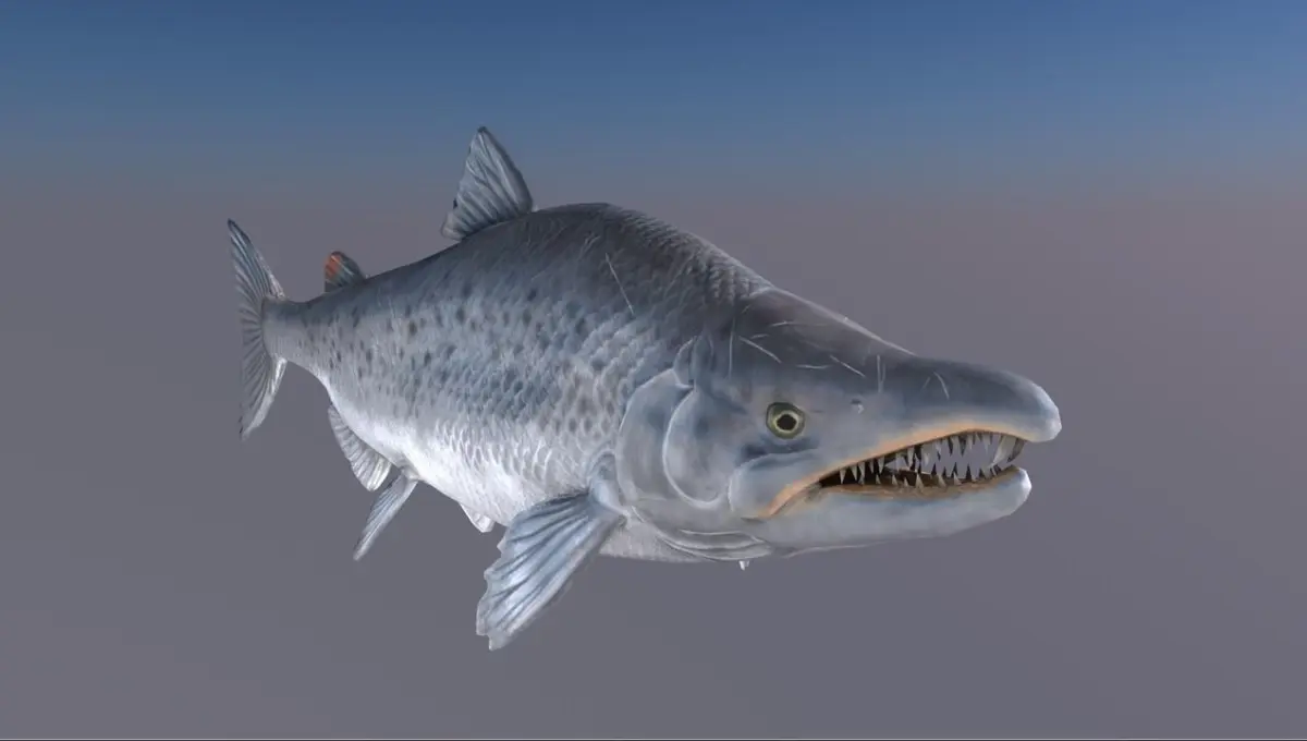 Salmon Model With A Rig 3D model