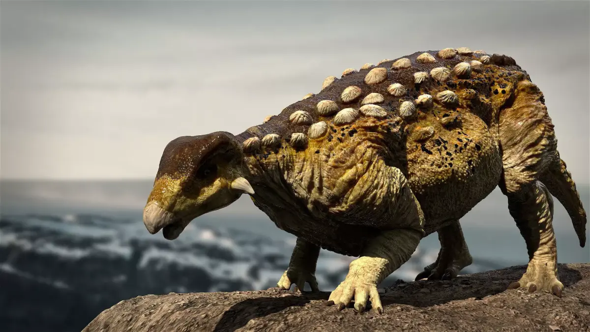 EuropeltaSaurus 3D Rigged model Low-poly 3D model