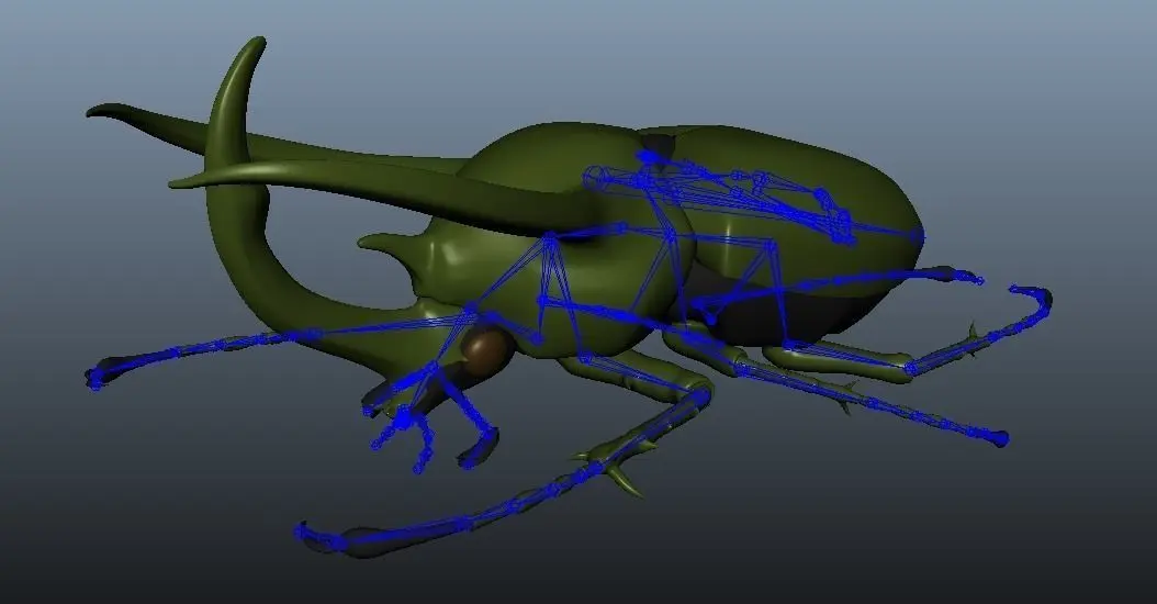 Chalcosoma Atlas Beetle with wings rigged not-textured 3D model