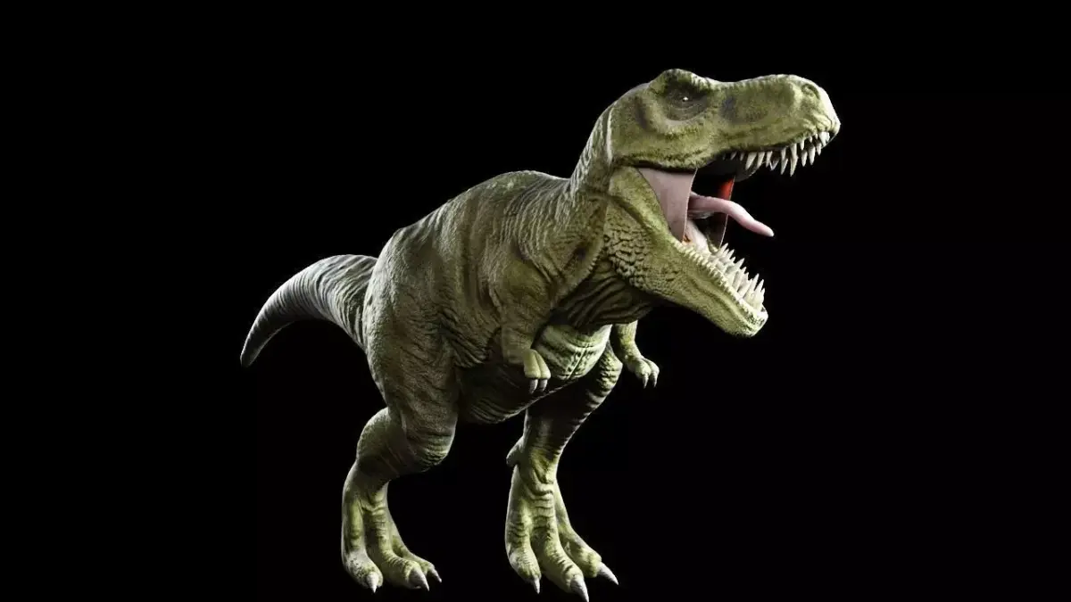 T-rex Tyrannosaurus Rigged and V-ray Shaders Complete 3D model