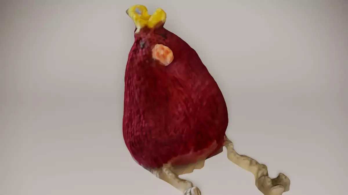 Cute Knitted Bird Photoscan Low-poly 3D model