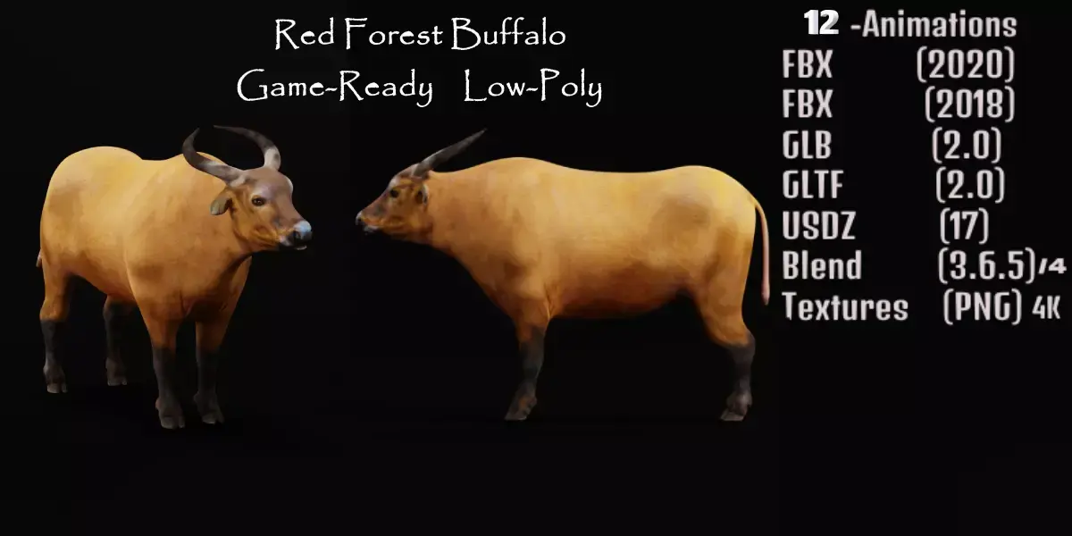 African Dwarf Forest Buffalo Free 3D model