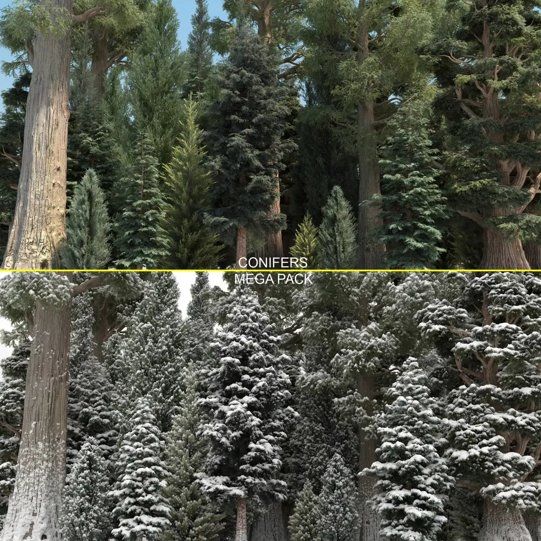 40 Conifer Trees with snow 3D model