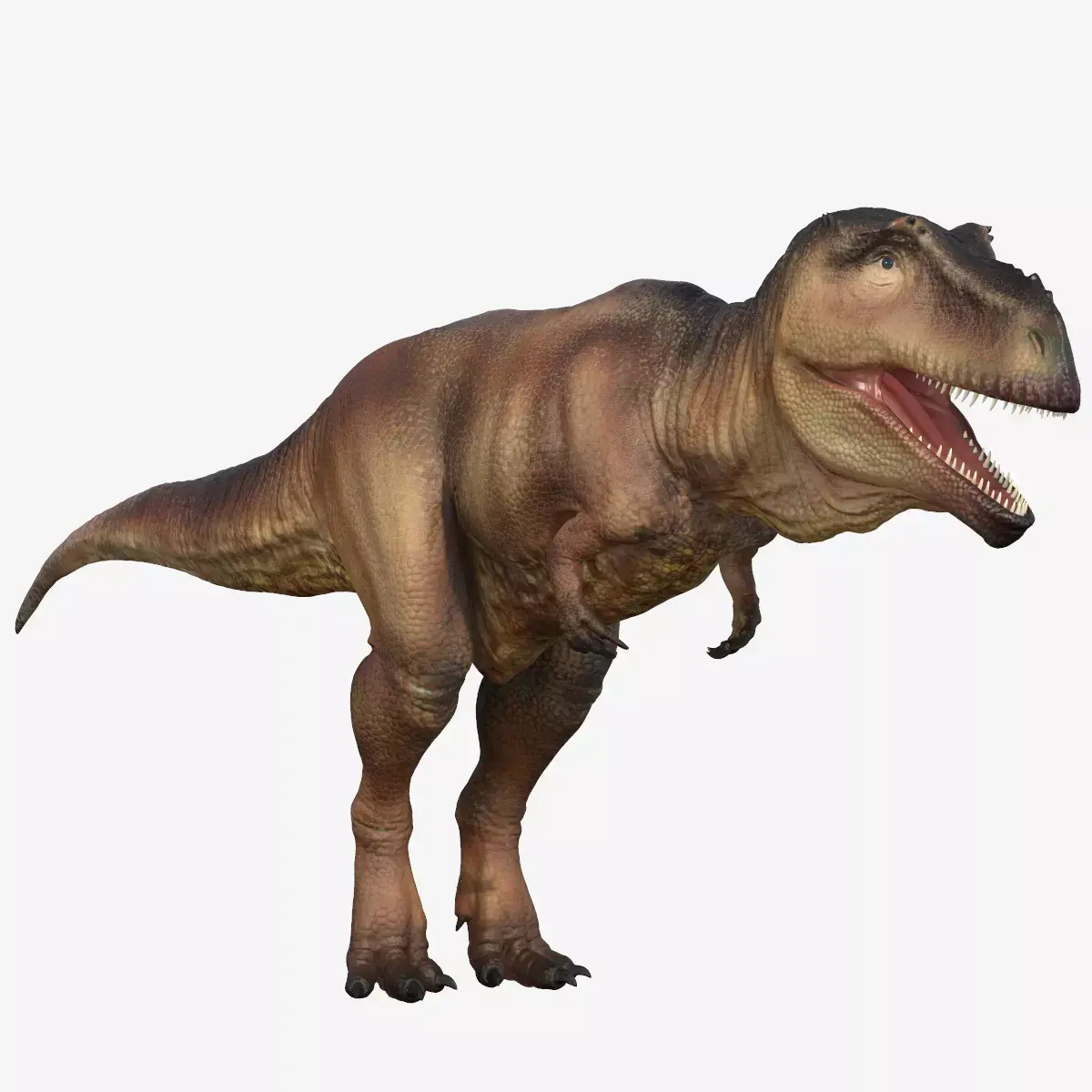 Giganotosaurus tyrannosaurus Low-poly 3D model