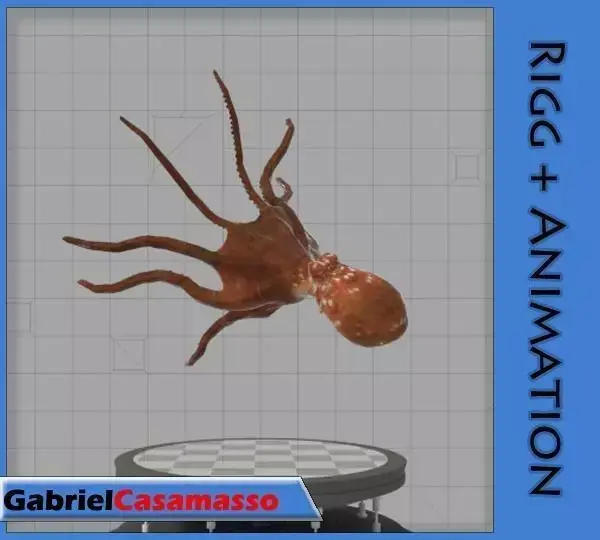 Octopus 3D model 5