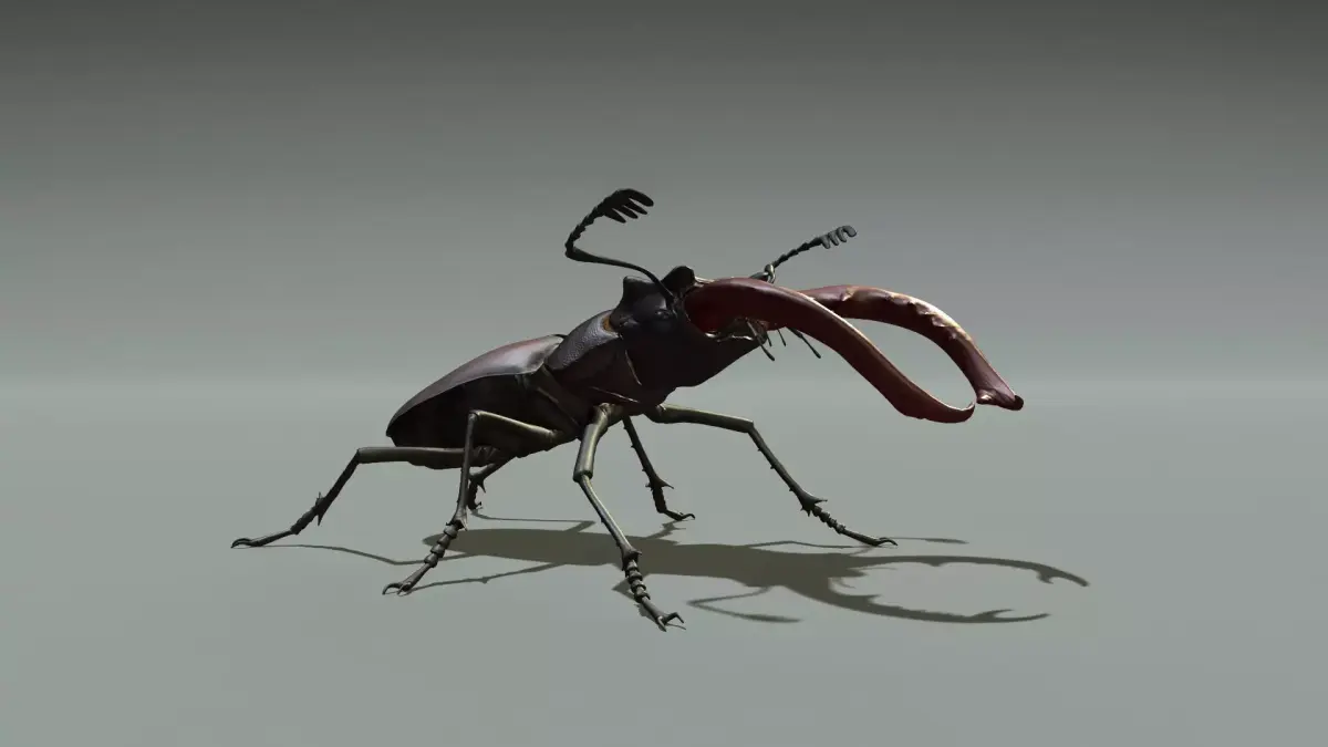 Stag beetle 3D model