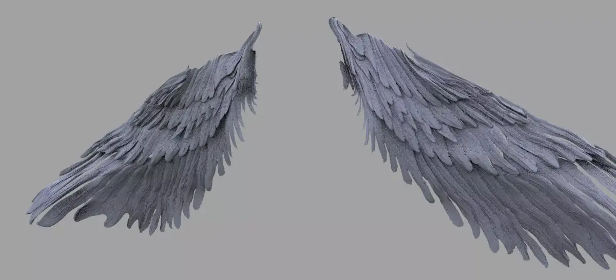 Harpy Wings 3D model