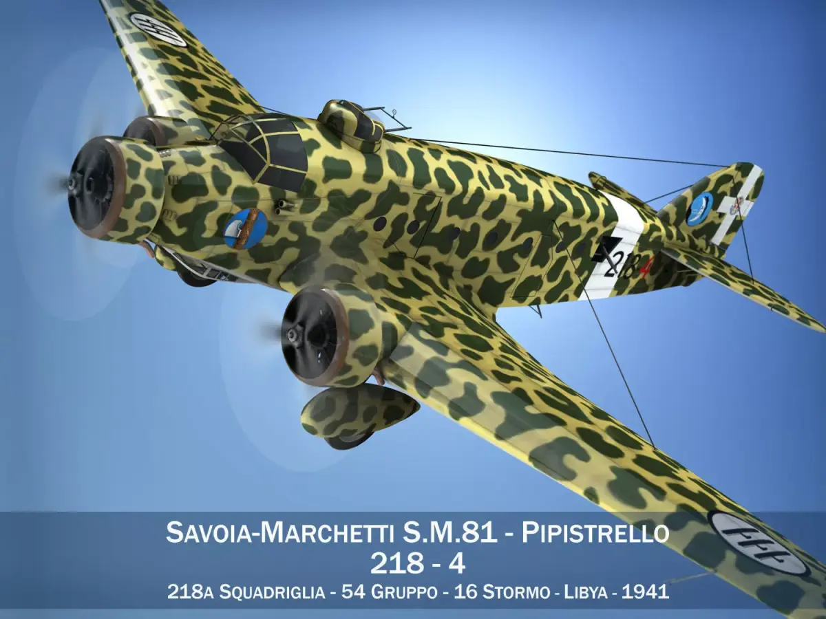 Savoia-Marchetti SM 81 Pipistrello 3D model