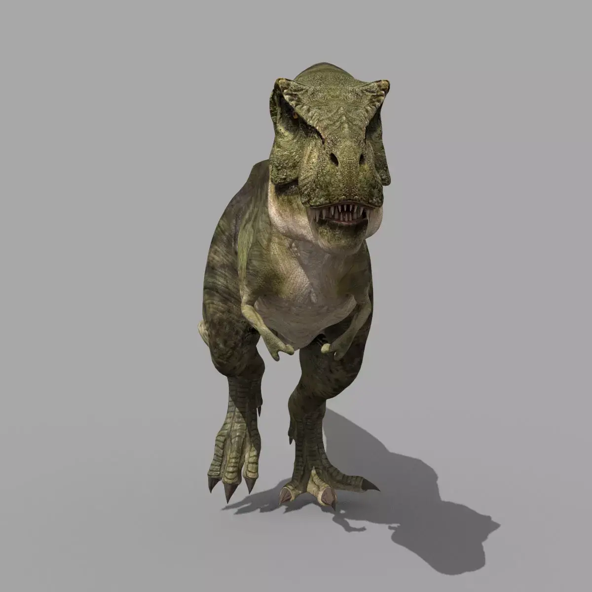 T Rex Premium 8K - fully animated 3D model
