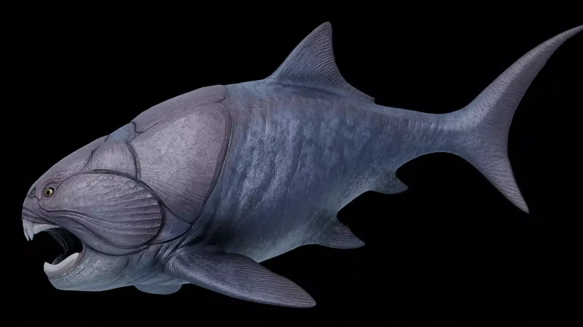 Dunkleosteus Asset Pack Low-poly 3D model