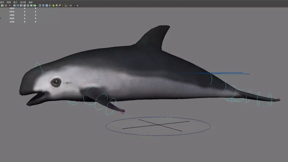 dolphin animal porpoise cetaceans whale marine dauphin 3D model