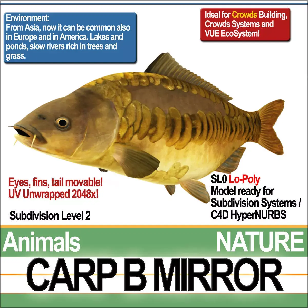 Carp B Mirror 3D model