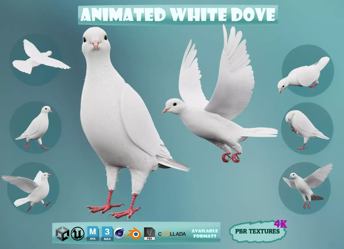 Realistic Animated White Dove Low-poly Low-poly 3D model