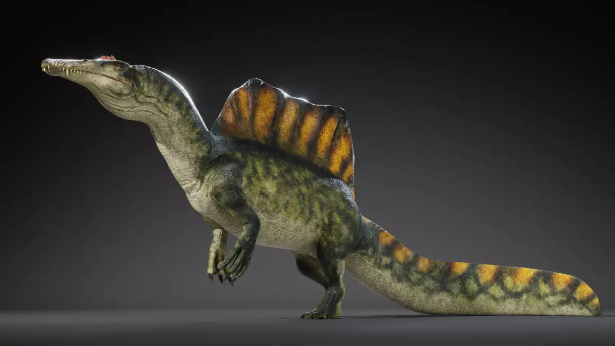 Spinosaurus Rig Low-poly 3D model