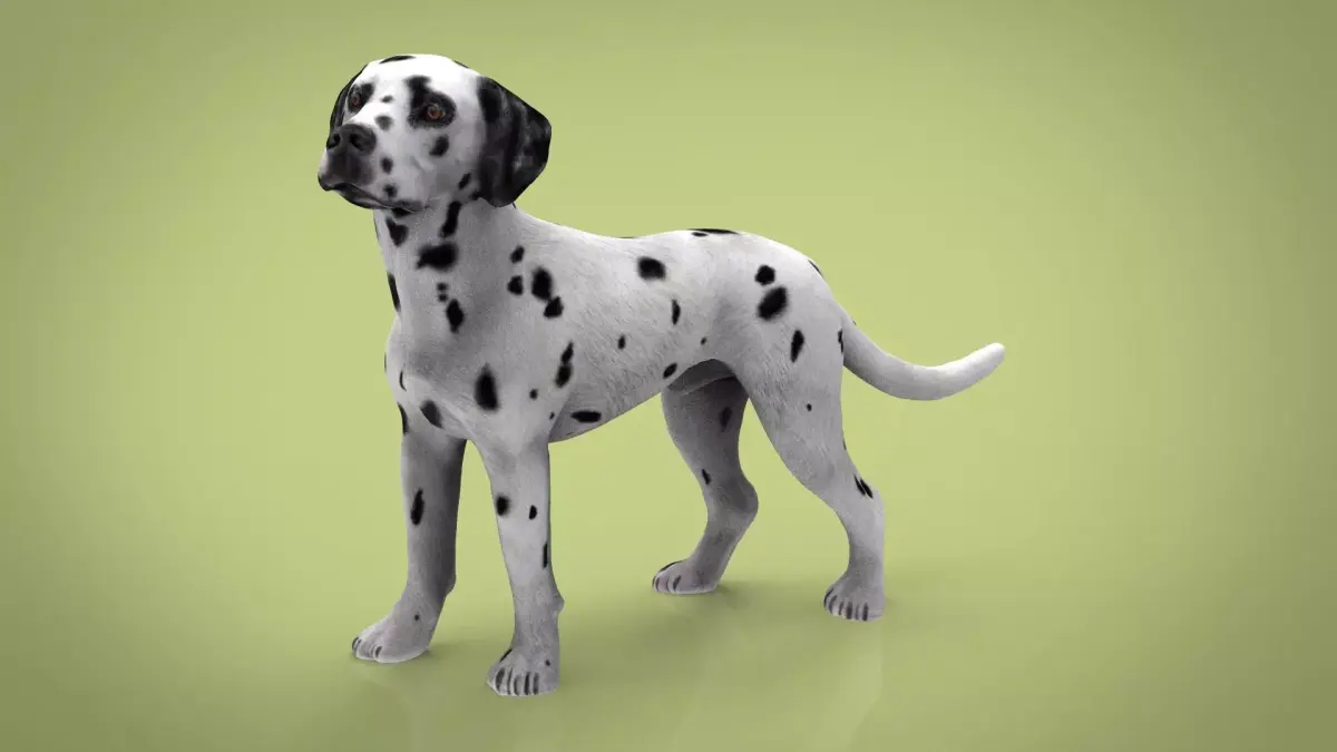 DALMATIAN dog Low-poly 3D model
