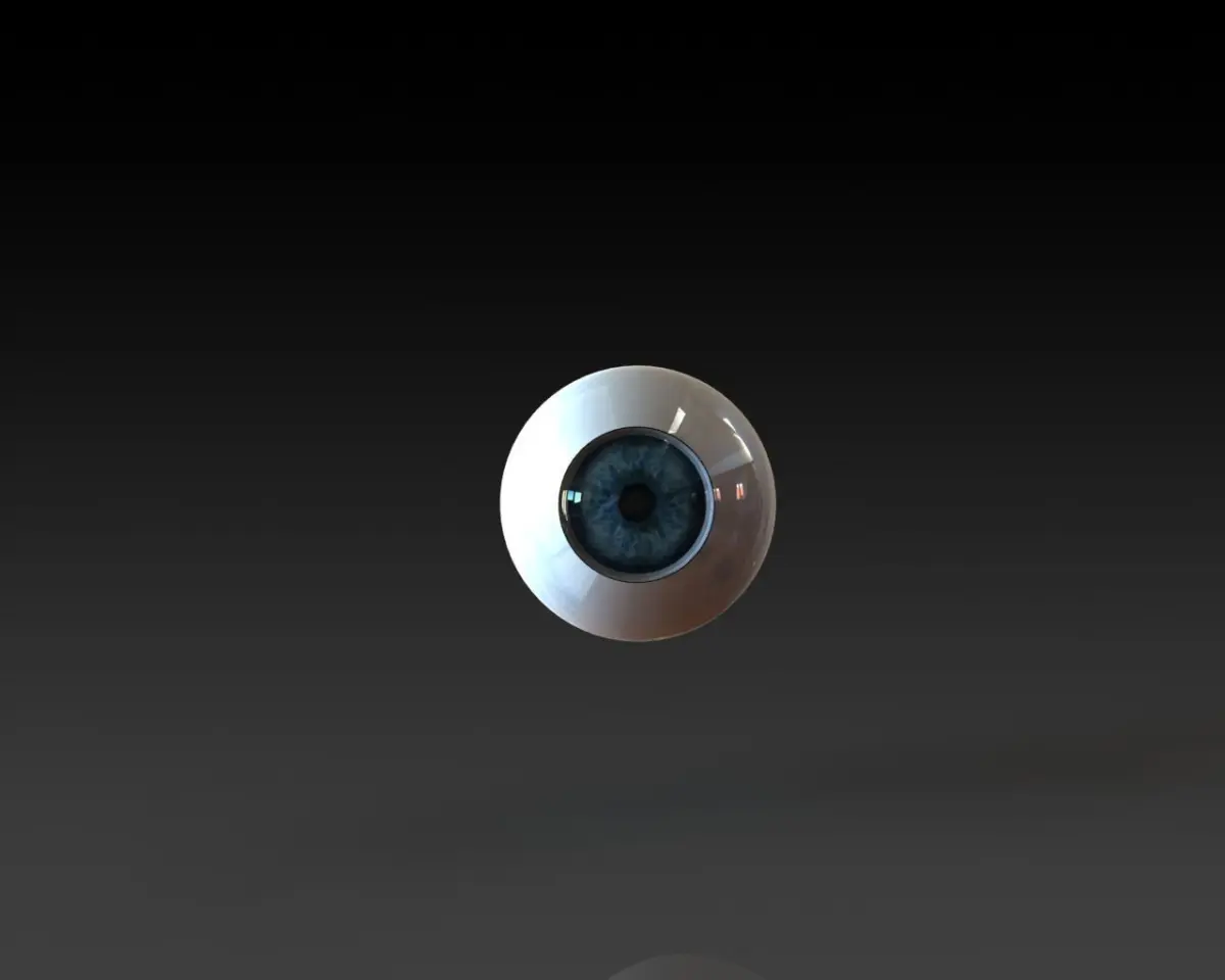 eye silver Free 3D model
