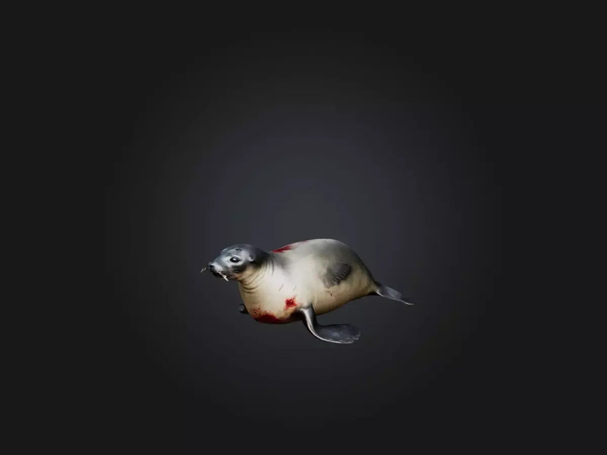Realistic Wounded Seal Model Low-poly 3D model