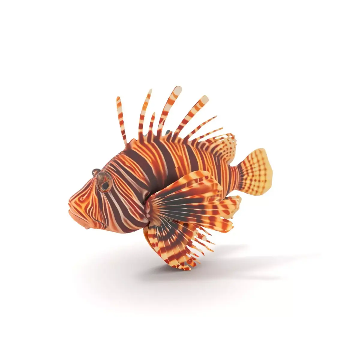 Vibrant Lionfish Aquatic model pack Low-poly 3D model