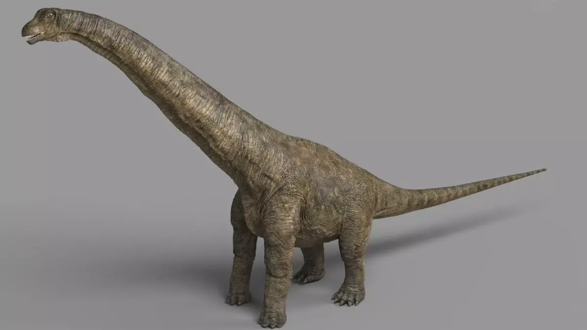Alamosaurus dinosaur Low-poly 3D model purchase