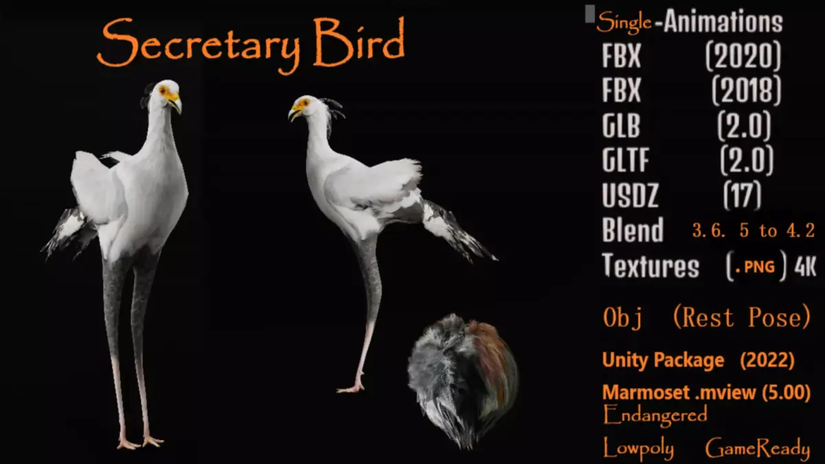 Secretary Bird Free 3D model