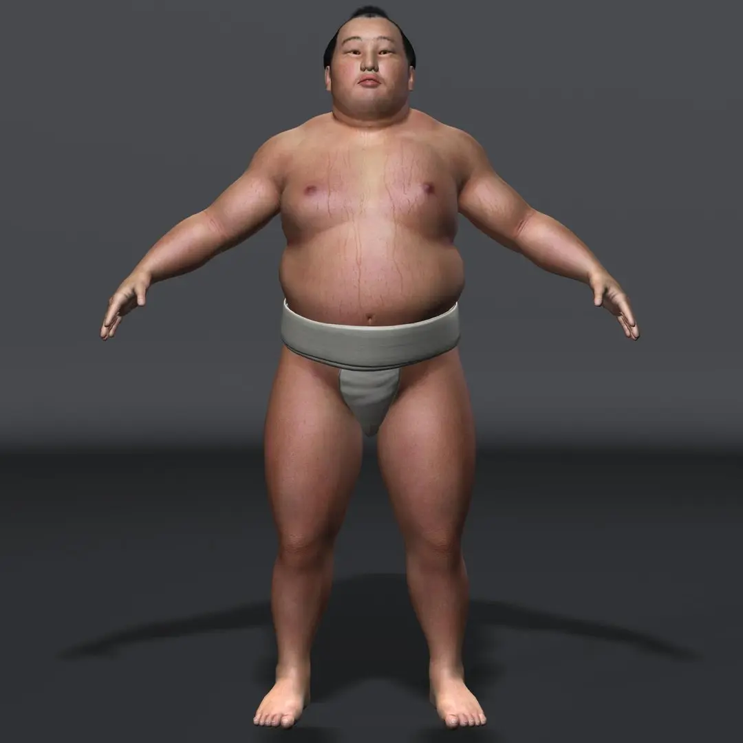 Sumo (Basic) 3D model