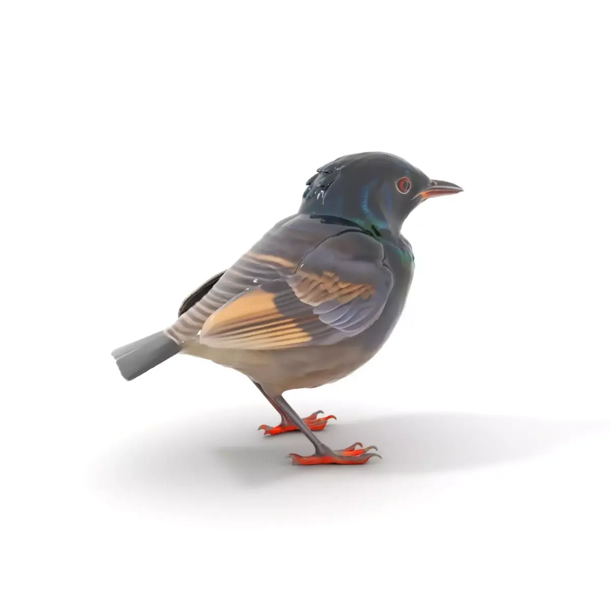 Iridescent Starling model pack Low-poly 3D model