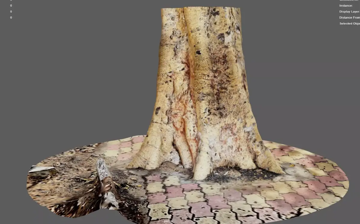 Tree Trunk 2 for 3d Model - 3d Scan 3D model