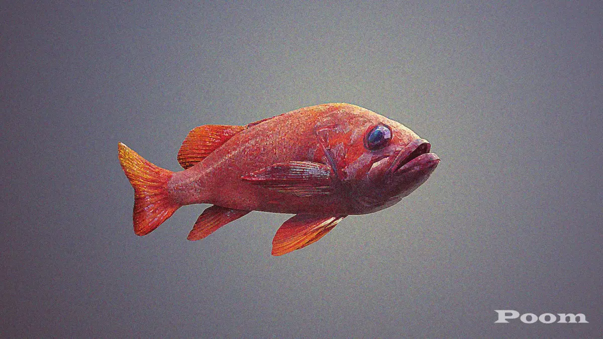 Red Fish 3D model