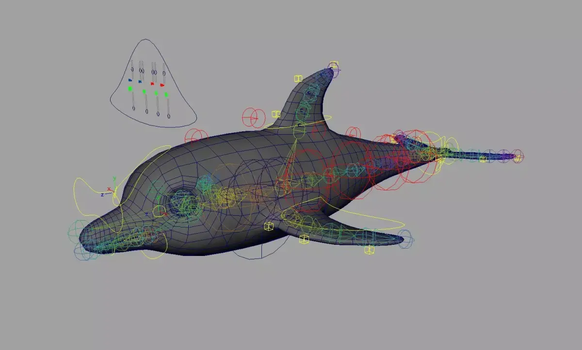 Rig Dolphin Low-poly 3D model
