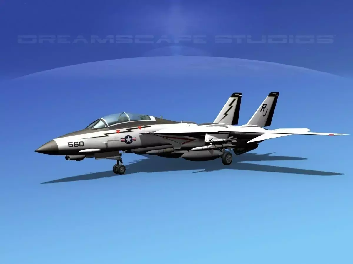 Grumman F-14D Tomcat T01a VF100 3D model