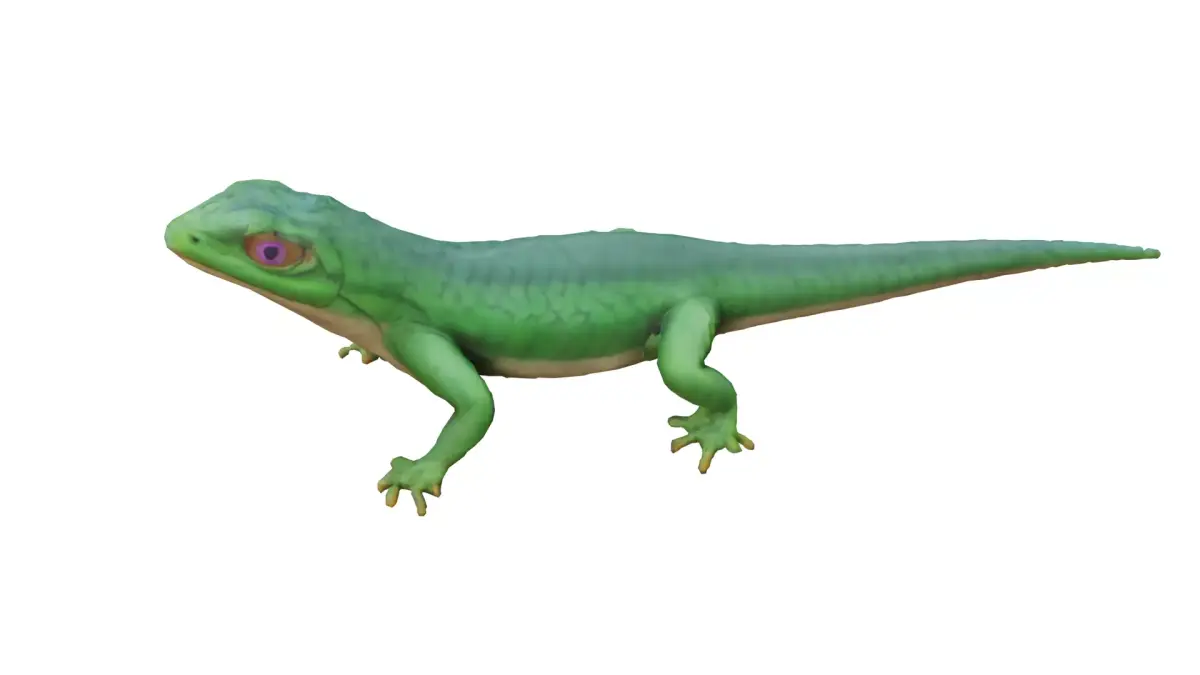 Lizard Low-poly 3D model