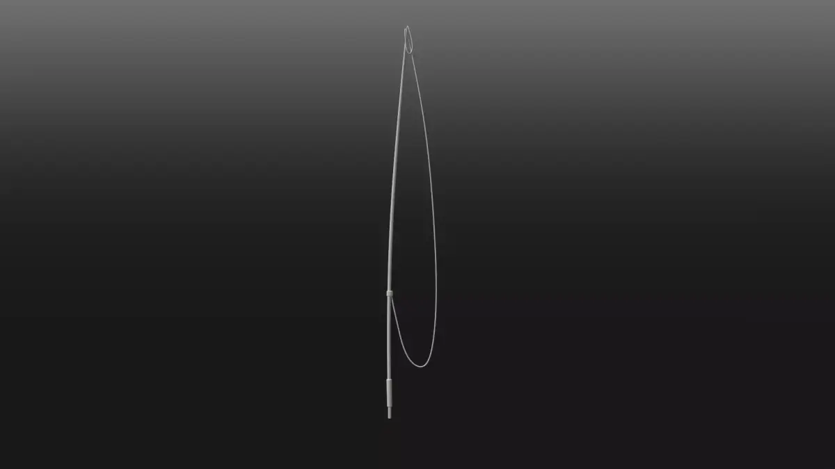 Fishing Pole 3D model