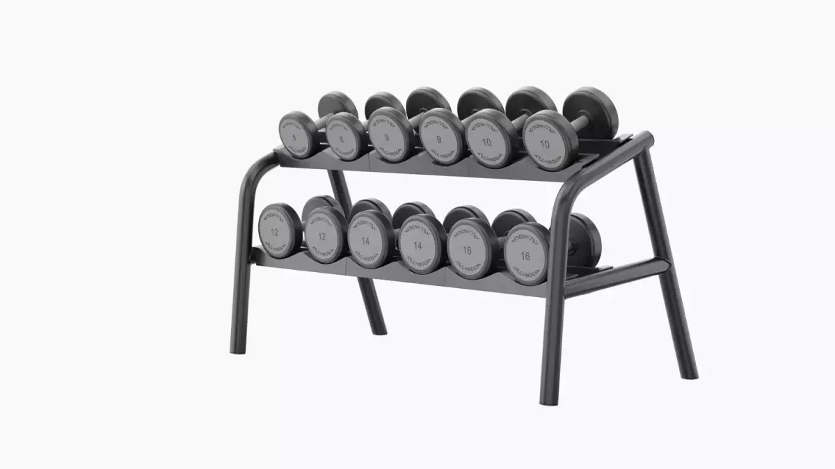 Technogym Urethane Dumbbells Rack 3D model