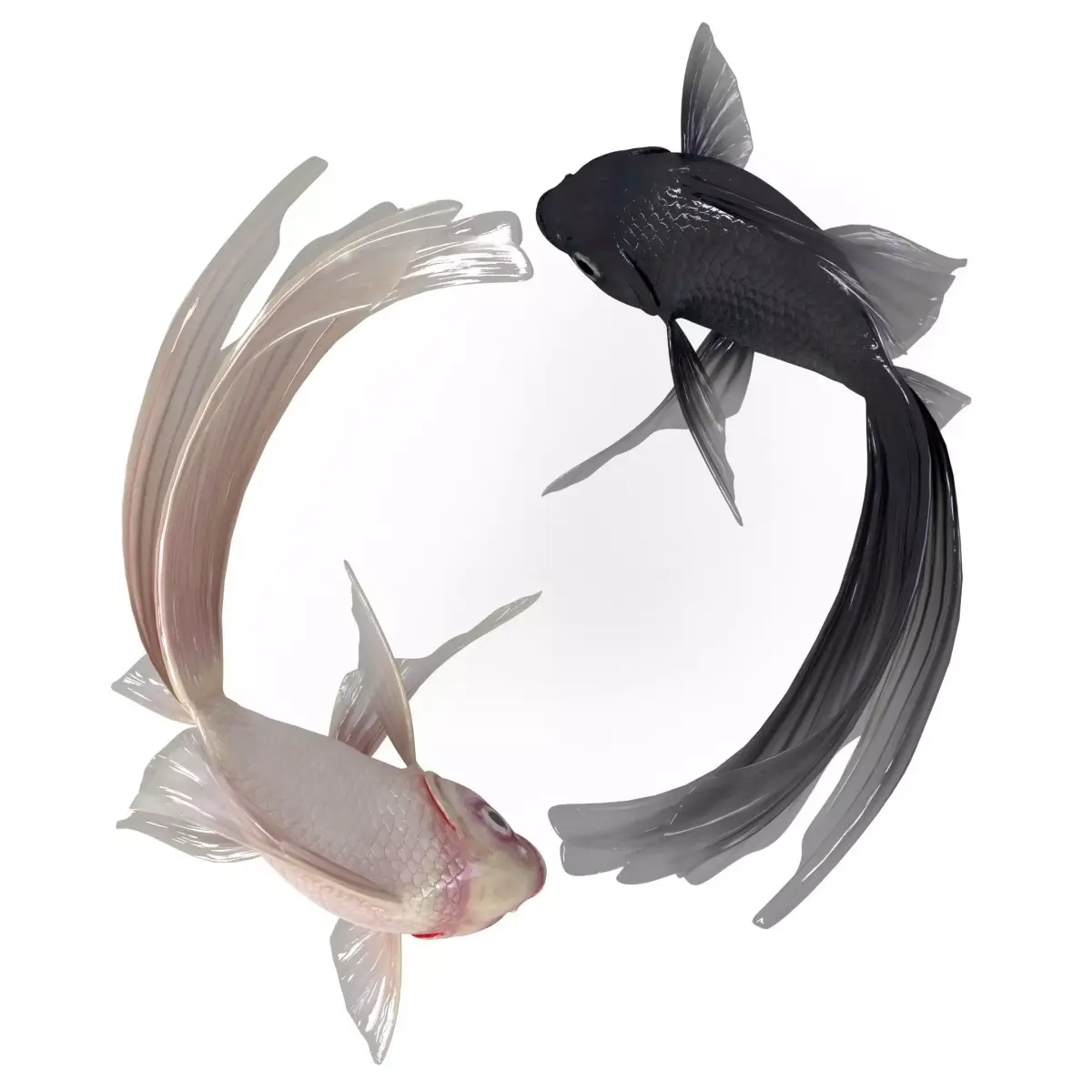 Yin Yang Fish Low-poly 3D model