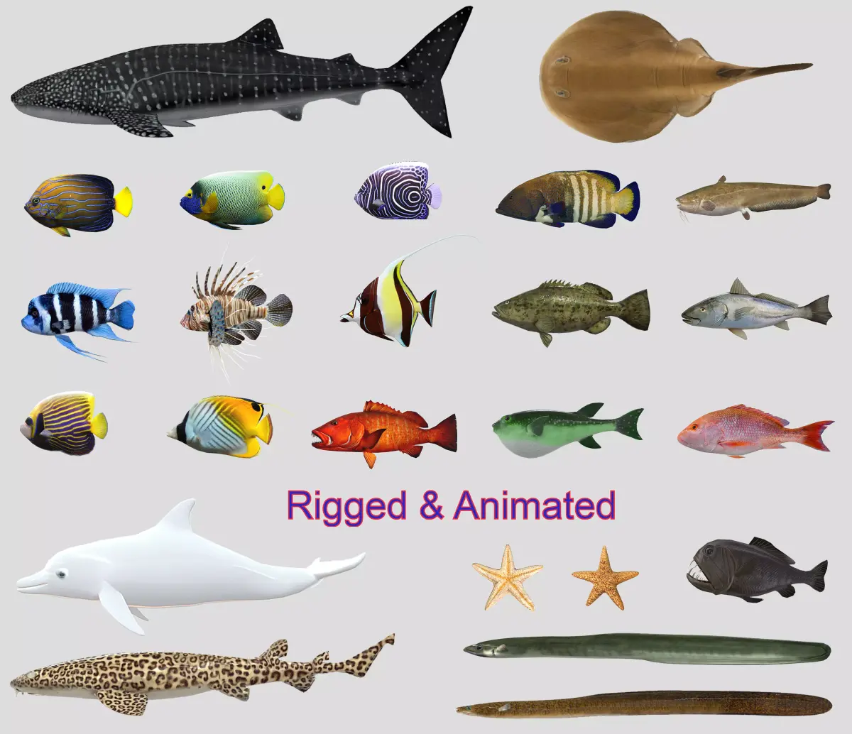 Fish Collection Animated - Game Ready Pack 6 Low-poly 3D model