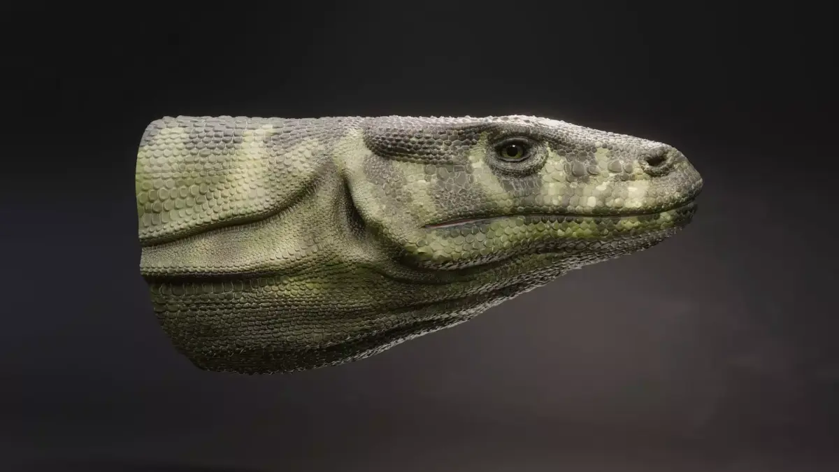 Komodo Dragon 3D model purchase