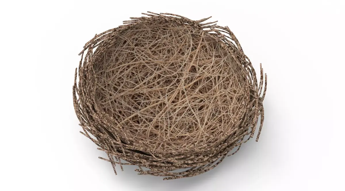 Bird Nest  Realistic Low-poly 3D model