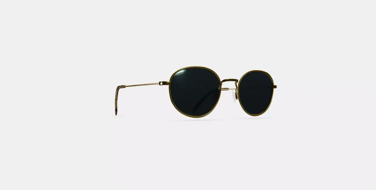 Rafael Sunglasses in Polished Gold 3D model