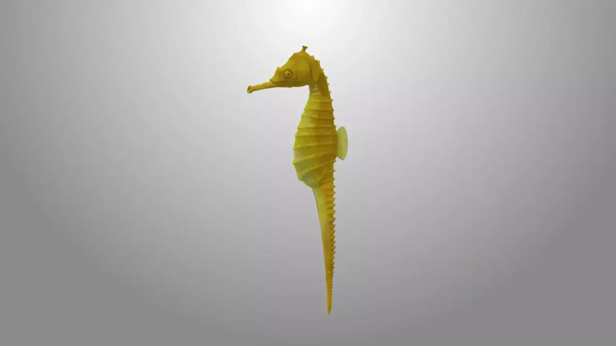 Seahorse fish 3D model Rigged Low-poly 3D model