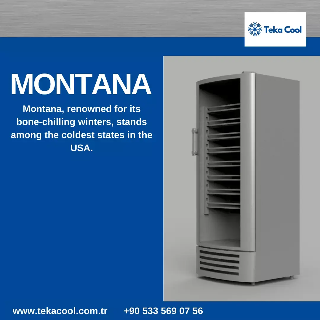 Montana 350 Soft Drink Cooler 3D print model