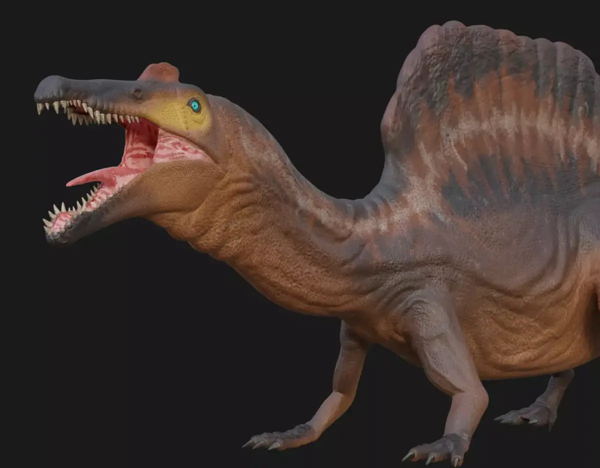 Spinosaurus Low-poly 3D model 2