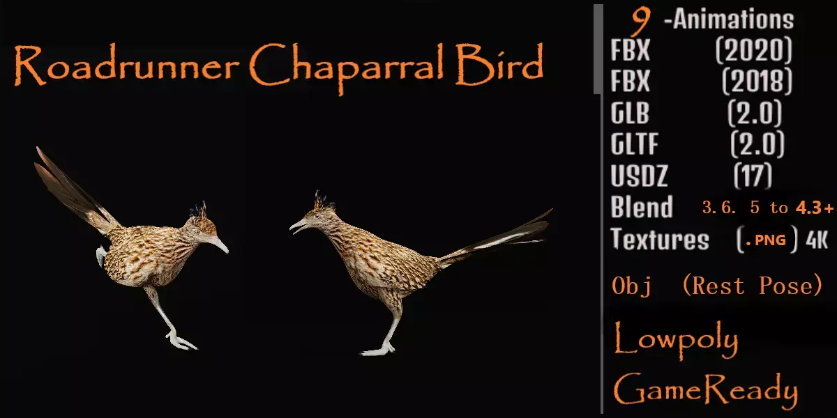 Roadrunner Chaparral Bird Low-poly 3D model