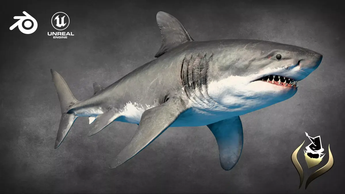 Megalodon Animated  Low-poly 3D model
