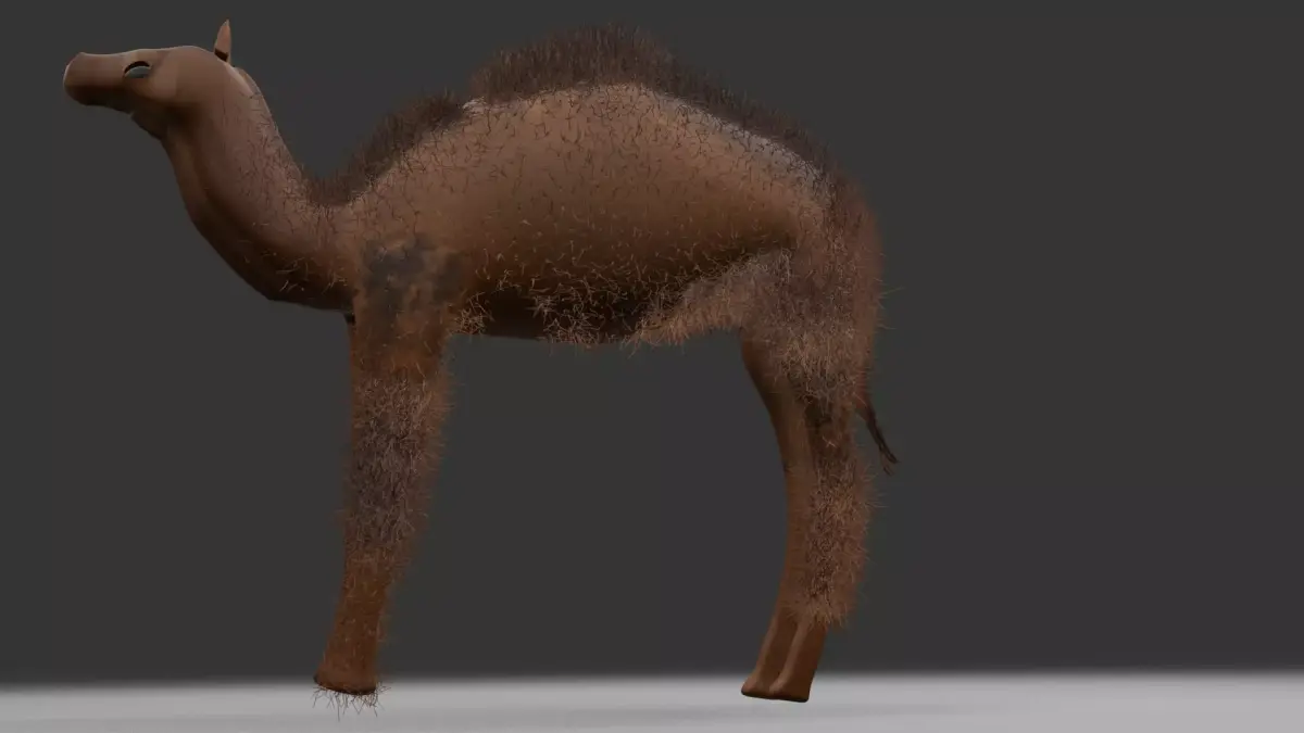 3dcamel not animated 3D model