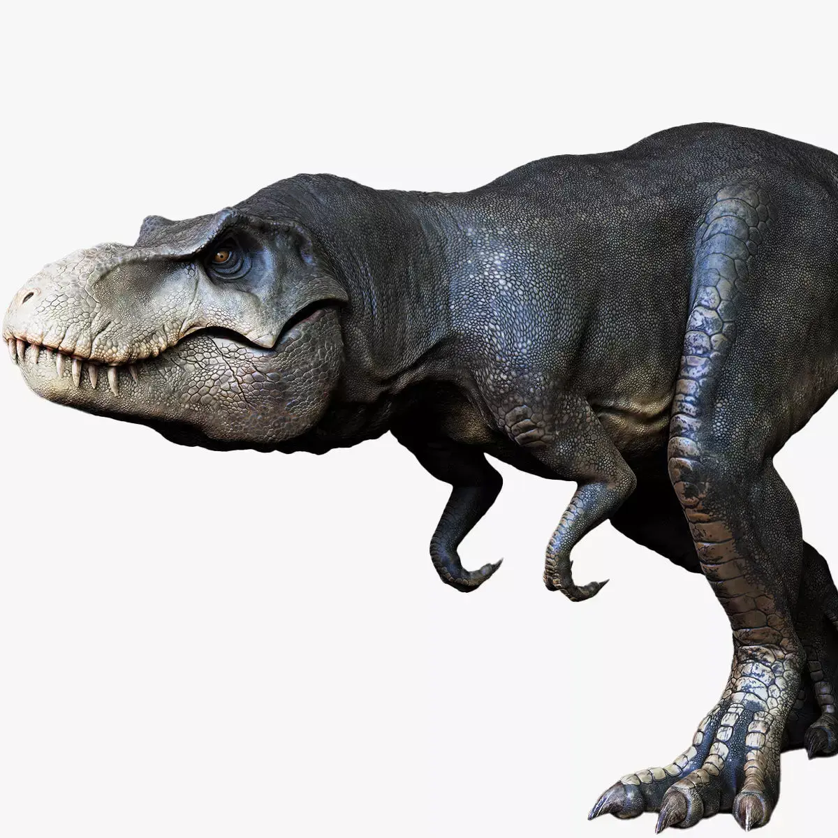 Dinosaur Tyrannosaurus Rex Stan Sculpt Project 3D model