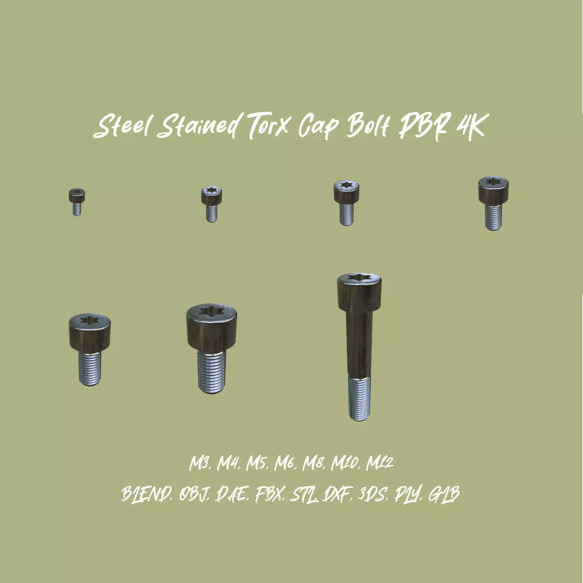 Collection of Steel Stained Torx Cap Bolts 3D Model Pack