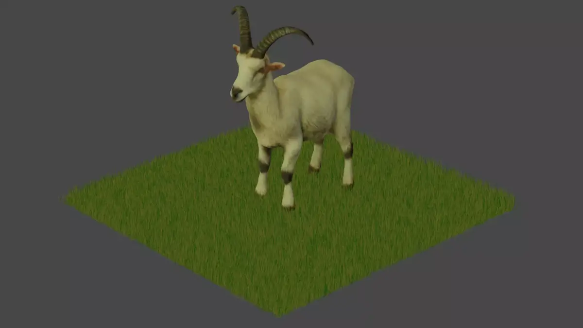 Modelo 3D Cabra para Blender 3D model