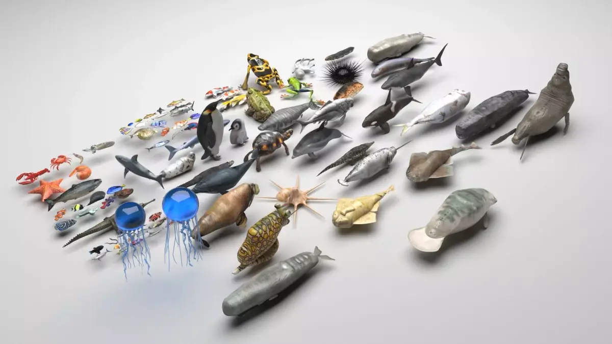 Sea Creatures Collection 3D model