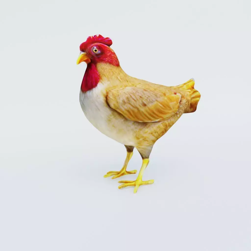 Chicken Free 3D model